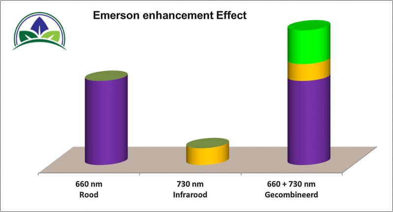emerson-effect-op-wietplanten