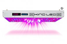 Kind Led K5 XL1000 Kweeklamp Kind Led K5 XL1000